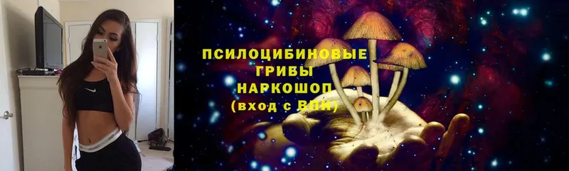 Псилоцибиновые грибы MAGIC MUSHROOMS  ссылка на мегу ONION  Гай 